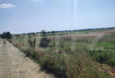 Teren de 7000 mp, în Central