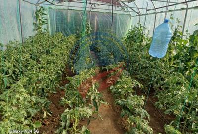 Casă individuală cu 4 camere cu Canalizare în Leu - 23