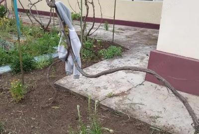 Casa de vanzare in Garbovi, jud. Ialomi?a la doar 70 km de Bucure?ti! - 9