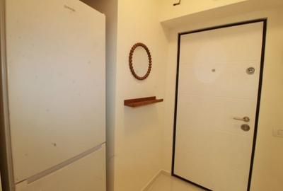 Inchiriere apartament 2 camere cochet|Prima inchiriere|Gara de Nord - 14