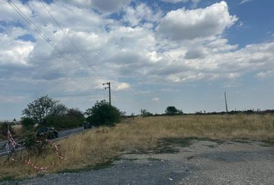 (308) Teren in zona industriala Albota, langa Pitesti / Direct proprietar - 3