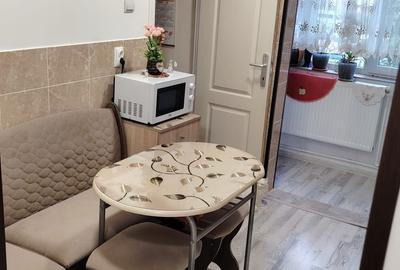 Apartament cu 2 camere decomandat în Strei - 7