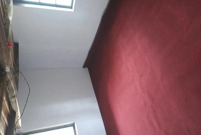 Casa in Arge? com lunca corbului - 4