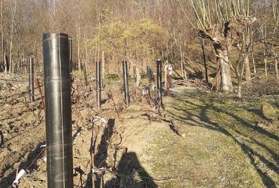 Casă cu Teren 5000 Mp în Bughea de Jos - 2