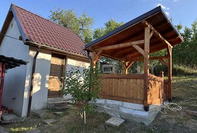 De vanzare casa sat Tes, aproape de Timi?oara Topolova?u Mare - 5