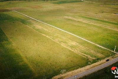 Teren superb zona Valea Avrigului Teren superb zona Valea Avrigului - 4