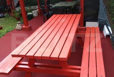 Cabana 2 camere, 100mp, Aleea Bujorului - 3