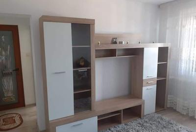 Apartament cu 2 camere nedecomandat în Beba Veche - 6