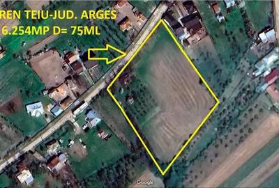 Teren 6.254 mp,Teiu Intravilan,Deschidere 75 ml, Curent,Comision 0% - 1