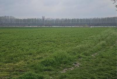 Spațiu comercial, în Dichiseni - 6