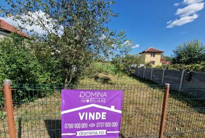 Teren intravilan 2844 mp in Sat Iasi-Gorj, Com. Dragutesti - 11