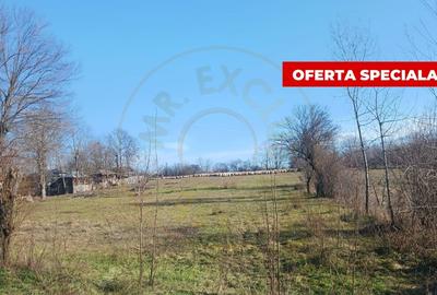 Teren Construcții intravilan de 6500 mp, în Rociu - 2