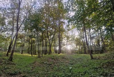 Teren de 79000 mp, în Central - 4