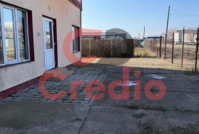 Sacalaz, 2300 teren si cladire Brutarie/Laborator/Productie - 9