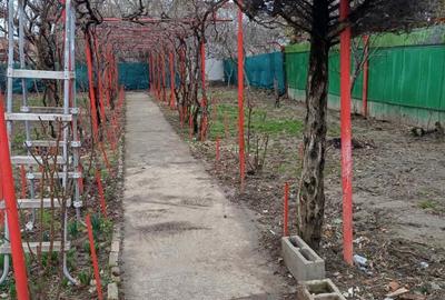 Casă individuală cu 3 camere cu Teren 400 Mp în Telegrafului - 4