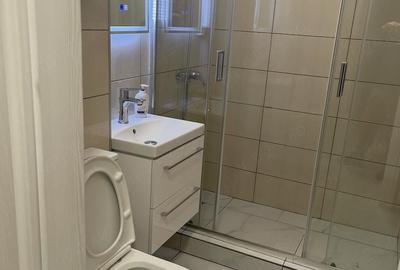 Apartament cu 2 camere decomandat, mobilat în Drumul Taberei - 9