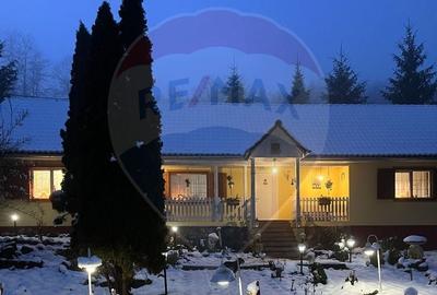 OCAZIE!!! CASA SUPERBA cu teren in JULITA jud Arad in M tii Zarandului - 6