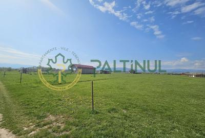 Teren agricol extravilan de 1500 mp, în Șelimbăr - 1