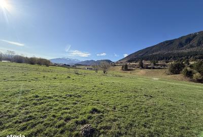 Spațiu comercial, în Plaiul Foii - 4