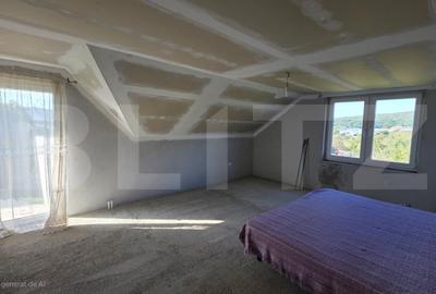 Casa de vanzare, cu 4 dormotoare si 10 ari teren, zona Unirea - 12