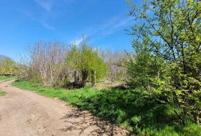 Teren Construcții intravilan de 656 mp, în Postăvari - 1