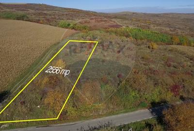 Teren agricol intravilan de 2556 mp, în Pădureni (Chinteni) - 1