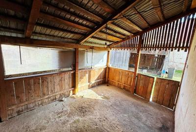 Casă cu 3 camere în Roșia de Secaș - 1