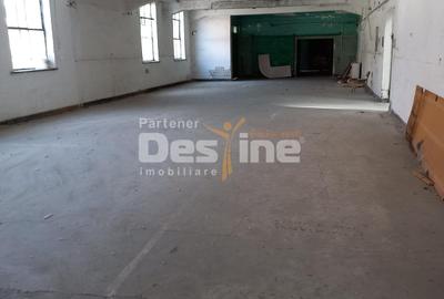 Spațiu industrial, de 19,000 mp, în Pucioasa - 3