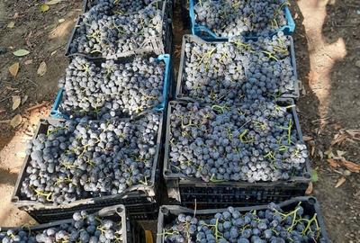 Casă cu 3 camere în Dumbrăveni - 7