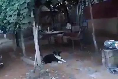 Casă cu 4 camere în Aldești - 3