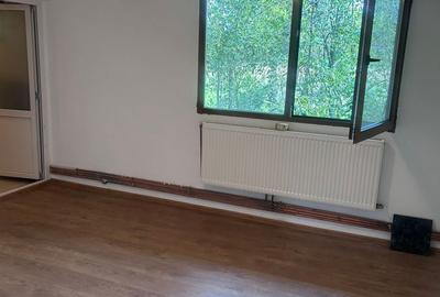 Casă cu 2 camere în Stâlpeni - 8