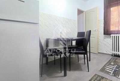 Apartament cu 2 camere semidecomandat în Micălaca - 10