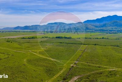 Teren de 10000 mp, în Central