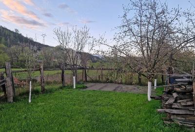 Casă cu Teren 450 Mp în Central