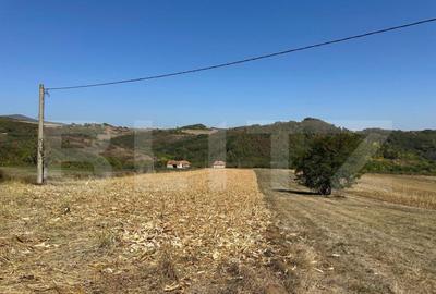 Teren intravilan de vanzare 14000mp,ideal pentru investitie, - 9