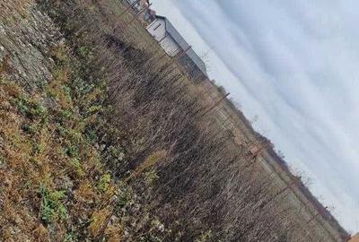 Spațiu comercial, în Săcălaz - 5