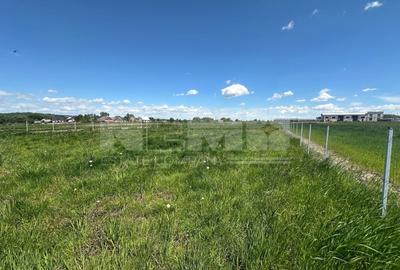 Teren Construcții intravilan de 2600 mp, în Horodnic de Sus - 6