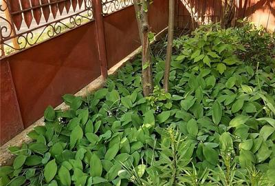 Casă cu 3 camere cu Teren 211 Mp în Dămăroaia - 1