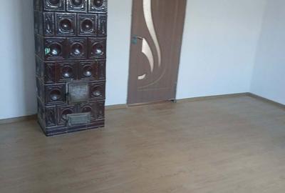 Casă cu 3 camere în Sălard - 2