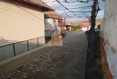 Casa de vanzare. Casa de vanzare. - 3