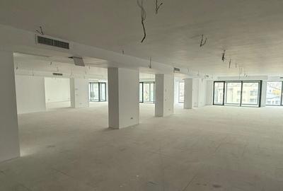 Spațiu comercial, de 376 mp, în Floreasca - 5