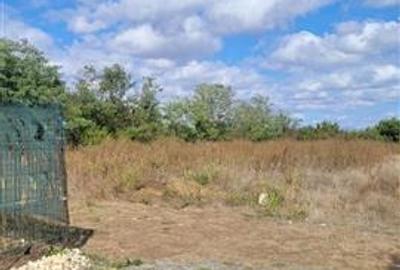 Teren Construcții extravilan de 1010 mp, în Exterior Sud - 4