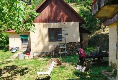 Casă cu 2 camere cu Teren 7500 Mp în Valea Roșie - 7