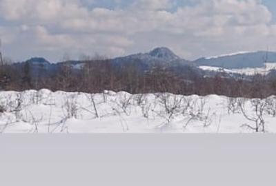 Teren Construcții extravilan de 1000 mp, în Roșia Montană - 3