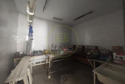 Spațiu comercial, de 200 mp, în Brestei - 6