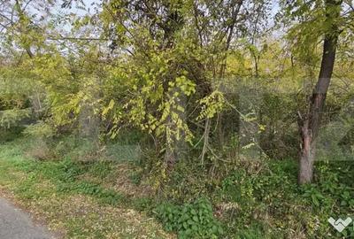 Teren de 1950 mp, în Gorgota - 5