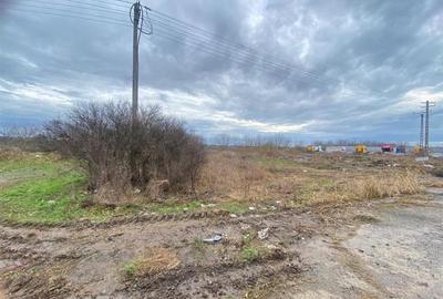 Teren constructii pt HALE 5100mp DJ 593 la CAP Sag Teren constructii pt HALE 5100mp DJ 593 la CAP Sag - 1