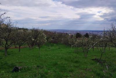 RECO TEREN INTRAVILAN ZONA DEALURI ORADEA RECO TEREN INTRAVILAN ZONA DEALURI ORADEA - 6
