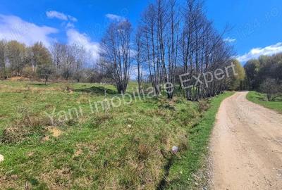 Teren de 9364 mp, în Central - 2