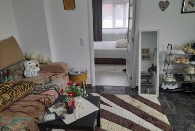 Casa renovata 2 camere de vanzare str. Campului Fagaras jud. Brasov - 4